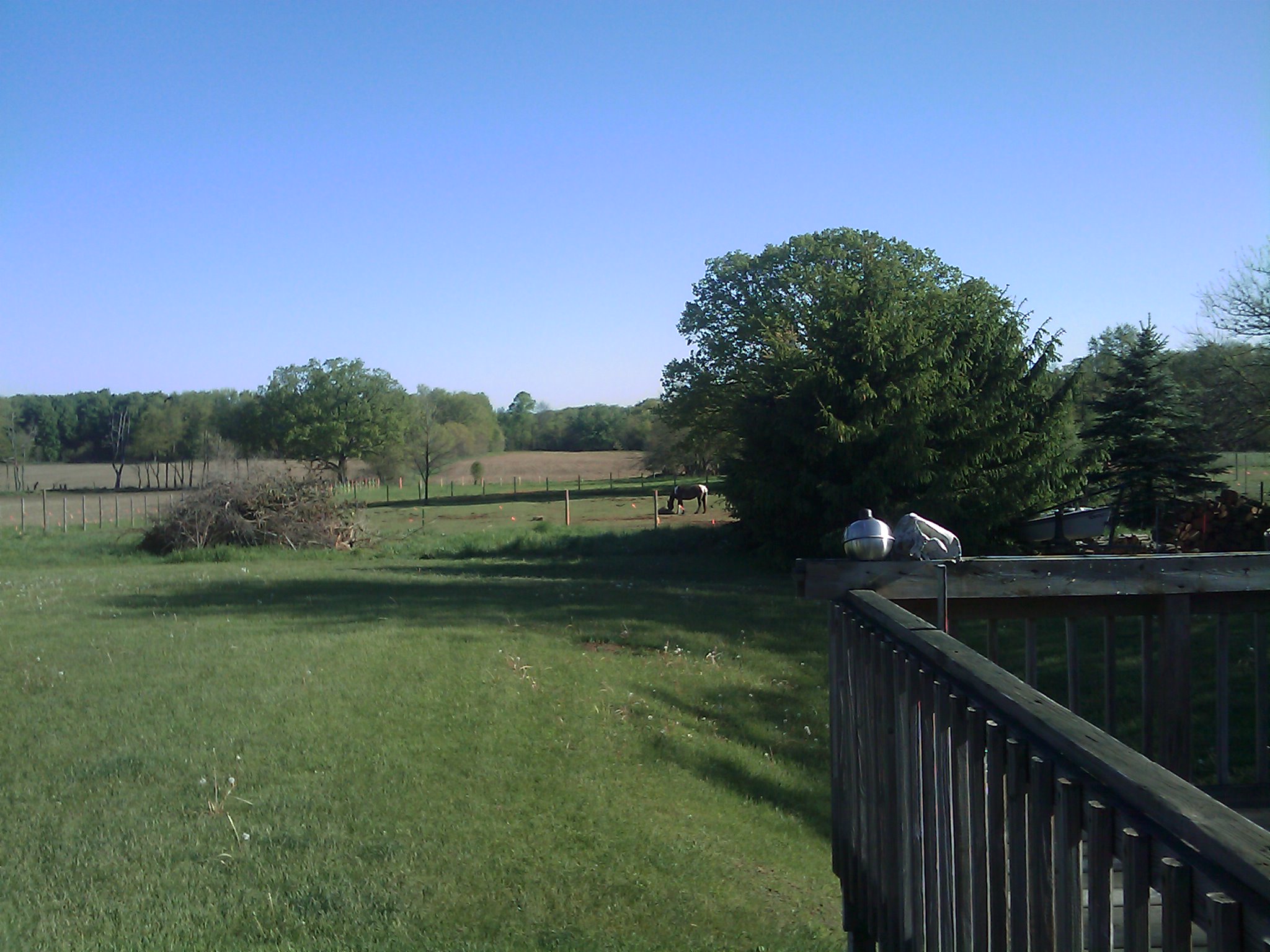 Looking out back